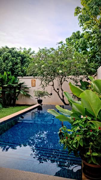 Baan Wana Pool Villas : บ้าน วนา พูล วิลล่า, ภูเก็ต, 177 ถนนศรีสุนทร, ศรีสุนทร, ถลาง, ภูเก็ต, 257 ตร.ม., วิลล่า ให้เช่า, โดย Mark Horsfall, 500257227 - DDproperty.com