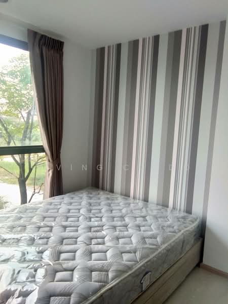 The Excel Groove Lasalle 52, Bangkok, Soi Sukhumvit 105 Lasalle Road, Bang Na, Bang Na, Bangkok, 1 Bedroom, 25 sqm, Condo For Rent, by Living Condo, 500257338 - DDproperty.com