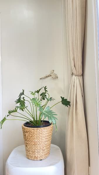 Supicha Sino Kohkaew 8 : สุพิชฌาย์ ชิโน เกาะแก้ว 8, ภูเก็ต, 189 ถ.เทพกระษัตรี, เกาะแก้ว, เมืองภูเก็ต, ภูเก็ต, 212 ตร.ม., วิลล่า ให้เช่า, โดย Prime Global Asset, 500257370 - DDproperty.com