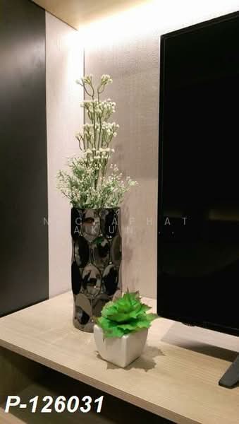 IDEO Sukhumvit 115 : ไอดีโอ สุขุมวิท 115, สมุทรปราการ, ถนนสุขุมวิท, เทพารักษ์, เมืองสมุทรปราการ, สมุทรปราการ, 27 ตร.ม., คอนโด ให้เช่า, โดย Nichaphat Sakunchayapha, 500257388 - DDproperty.com