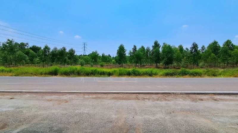 บ้านเดี่ยว สวยสายชลวิลเลจ, Chachoengsao, Plaeng Yao, Plaeng Yao, Chachoengsao, 3 Bedrooms, 116 sqm, Single Detached House For Sale, by คุณณิชชา, 500257410 - DDproperty.com