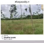 ที่ดินเปล่า บ้านค่าย ระยอง, ระยอง