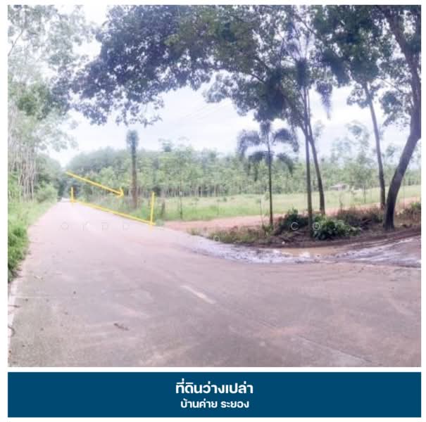 ที่ดินเปล่า บ้านค่าย ระยอง, Rayong, Chak Bok, Ban Khai, Rayong, , 13,380 sqm, Land For Sale, by OKDD STUDIO Co., Ltd., 500257514 - DDproperty.com