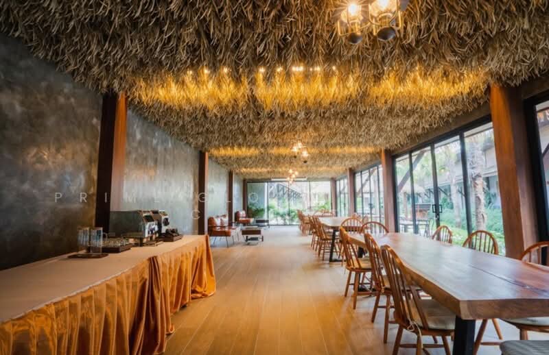 Malabar Pool Villa, Phuket, Ratsada, Muang Phuket, Phuket, 2 Bedrooms, 1,300 sqm, Villa For Rent, by Prime Global Asset Co.,Ltd, 500257537 - DDproperty.com