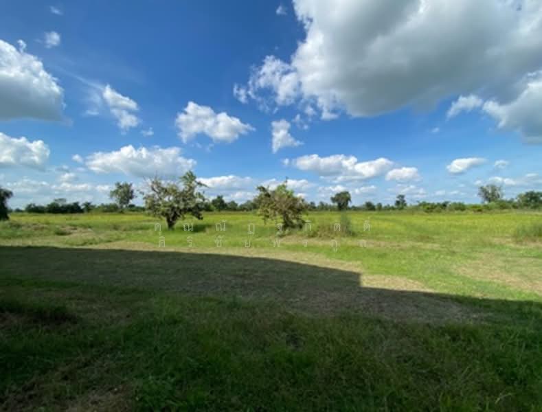 For Sale - โรงสีพร้อมเครื่องจักร, Buri Ram