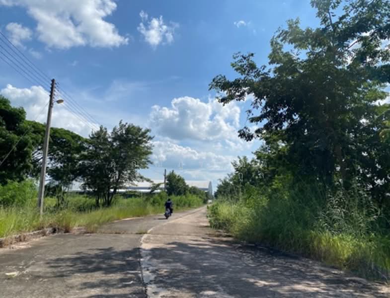 For Sale - โรงสีพร้อมเครื่องจักร, Buri Ram