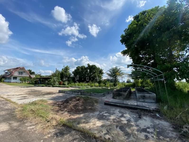 For Sale - โรงสีพร้อมเครื่องจักร, Buri Ram