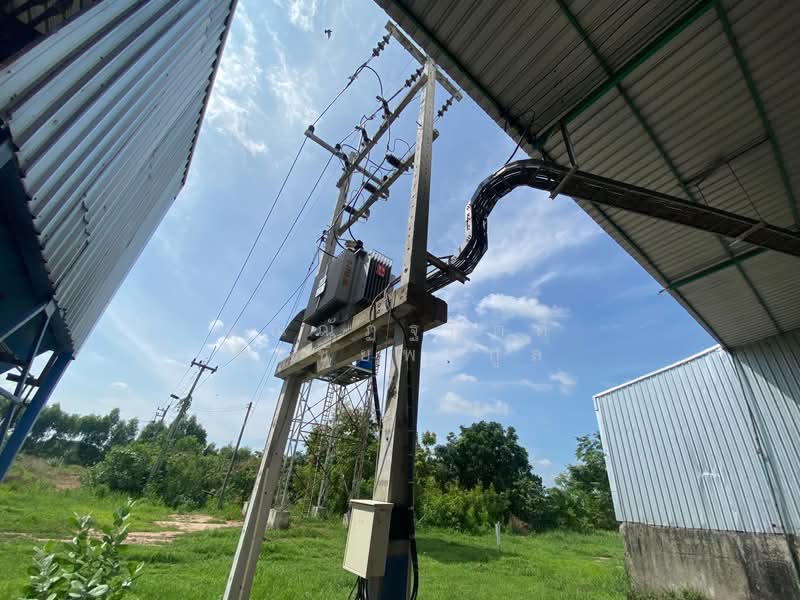 For Sale - โรงสีพร้อมเครื่องจักร, Buri Ram