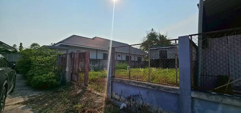 ขาย ที่เปล่าโซนหางดง, เชียงใหม่, น้ำแพร่, หางดง, เชียงใหม่, 284 ตร.ม., ที่ดิน ขาย, โดย อามร ยืนยง, 500257563 - DDproperty.com