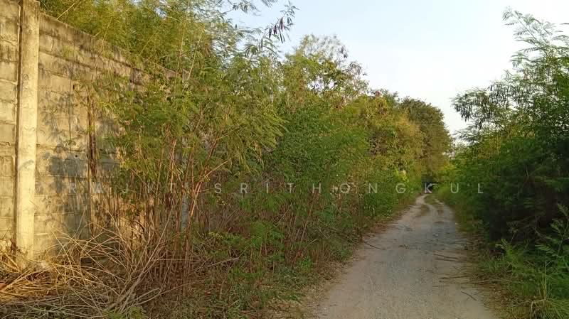 Land for Rent - Nongprue, Banglamung (East Pattaya), Chon Buri (Pattaya), ถนนเลียบทางรถไฟ สายฉะเชิงเทรา-สัตหีบ, Nong Pru, Bang Lamung (Pattaya), Chon Buri (Pattaya), , 5,576 sqm, Warehouse/Factory For Rent, by Rajit Srithongkul, 500257605 - DDproperty.com