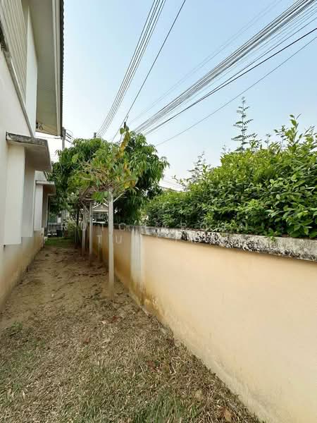 บ้านให้เช่า – ใกล้มีโชคพลาซ่า เพียง 5 นาที ค่าเช่า 17,000 บาท / เดือน รหัสทรัพย์ : No.5H651, Chiang Mai, Nong Chom, San Sai, Chiang Mai, 2 Bedrooms, 130 sqm, Single Detached House For Rent, by Rutchaporn Tunsiri, 500257628 - DDproperty.com