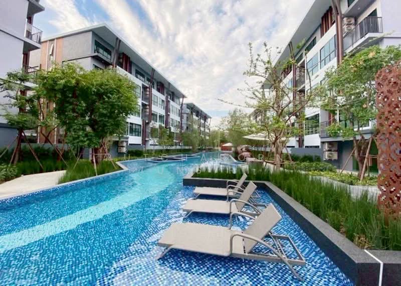 Arise Condo At Mahidol : อะไรซ์ คอนโด แอท มหิดล, เชียงใหม่, ถนน มหิดล, ป่าแดด, เมืองเชียงใหม่, เชียงใหม่, 32 ตร.ม., คอนโด ให้เช่า, โดย Rutchaporn Tunsiri, 500257649 - DDproperty.com