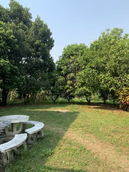 3 Bedroom House for Sale in San Sai Pa Mueang, Chiang Mai, Pa Phai, San Sai, Chiang Mai, 3 Bedrooms, 200 sqm, Single Detached House For Sale, by Fazwaz (Thailand) Co., Ltd., 500257675 - DDproperty.com