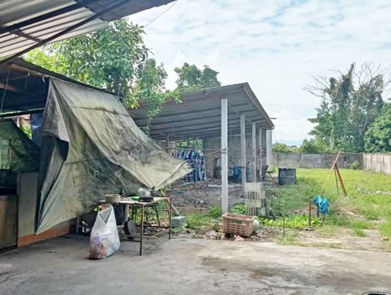 บ้านเดี่ยวหางดง เชียงใหม่, เชียงใหม่, หนองตอง, หางดง, เชียงใหม่, 730 ตร.ม., บ้านเดี่ยว ขาย, โดย The Best Property บอย, 500257680 - DDproperty.com