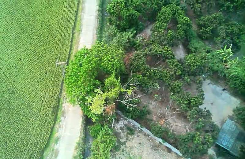 บ้านเดี่ยวหางดง เชียงใหม่, Chiang Mai, Nong Tong, Hang Dong, Chiang Mai, 6 Bedrooms, 730 sqm, Single Detached House For Sale, by The Best Property บอย, 500257680 - DDproperty.com