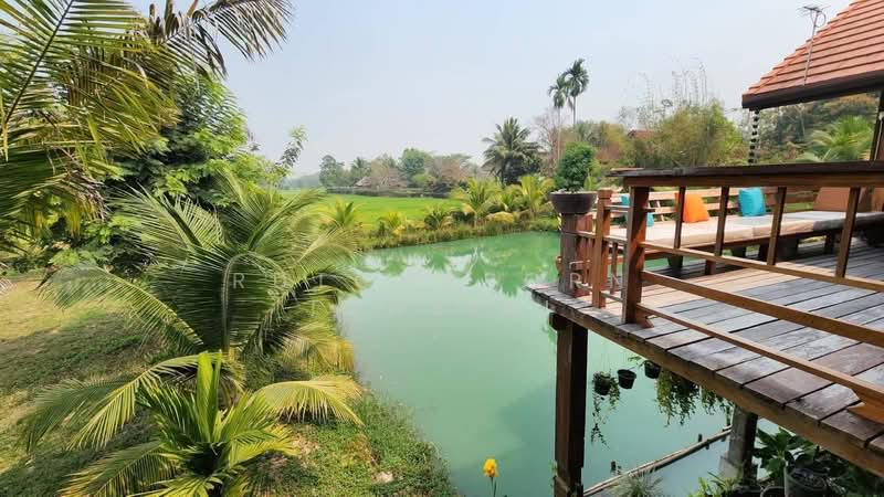 บ้านสวยให้เช่า – ใกล้ตลาดแม่คือ เพียง 10 นาที ค่าเช่า 50,000 บาท / เดือน รหัสทรัพย์ : No.12H520, Chiang Mai, Choeng Doi, Doi Saket, Chiang Mai, 4 Bedrooms, 1,000 sqm, Single Detached House For Rent, by Rutchaporn Tunsiri, 500257692 - DDproperty.com