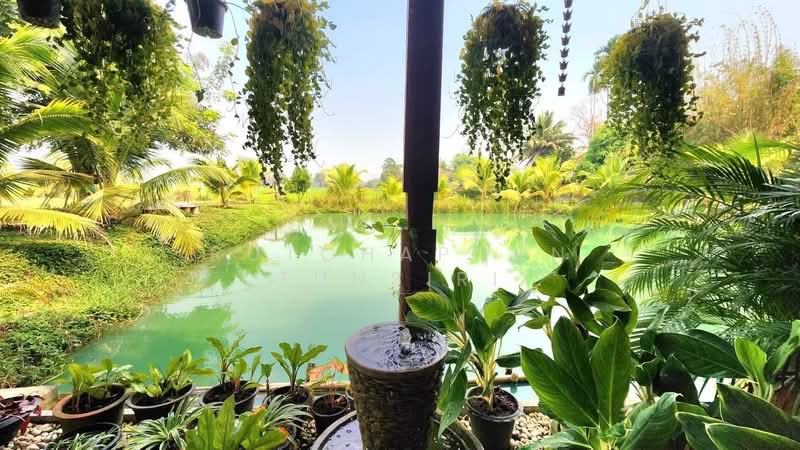 บ้านสวยให้เช่า – ใกล้ตลาดแม่คือ เพียง 10 นาที ค่าเช่า 50,000 บาท / เดือน รหัสทรัพย์ : No.12H520, Chiang Mai, Choeng Doi, Doi Saket, Chiang Mai, 4 Bedrooms, 1,000 sqm, Single Detached House For Rent, by Rutchaporn Tunsiri, 500257692 - DDproperty.com