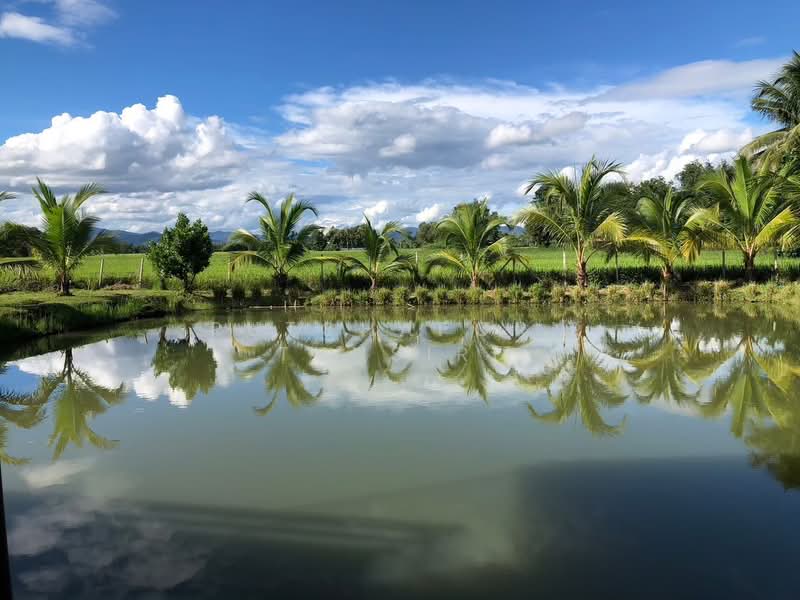 บ้านสวยให้เช่า – ใกล้ตลาดแม่คือ เพียง 10 นาที ค่าเช่า 50,000 บาท / เดือน รหัสทรัพย์ : No.12H520, Chiang Mai, Choeng Doi, Doi Saket, Chiang Mai, 4 Bedrooms, 1,000 sqm, Single Detached House For Rent, by Rutchaporn Tunsiri, 500257692 - DDproperty.com