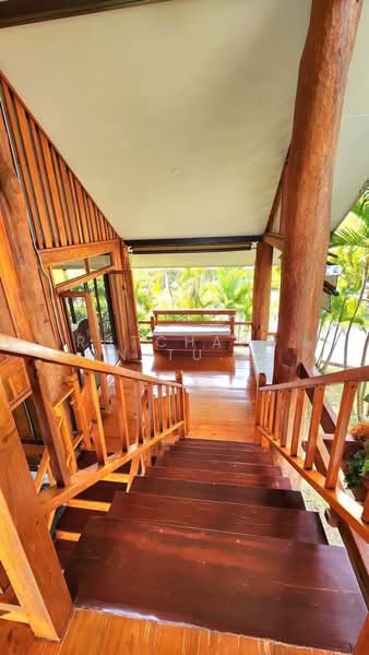 บ้านสวยให้เช่า – ใกล้ตลาดแม่คือ เพียง 10 นาที ค่าเช่า 50,000 บาท / เดือน รหัสทรัพย์ : No.12H520, Chiang Mai, Choeng Doi, Doi Saket, Chiang Mai, 4 Bedrooms, 1,000 sqm, Single Detached House For Rent, by Rutchaporn Tunsiri, 500257692 - DDproperty.com