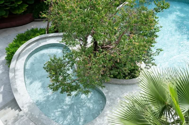 ขาย - The Palm Residences Pattanakarn : เดอะ ปาล์ม เรสซิเดนซ์เซส พัฒนาการ, กรุงเทพ