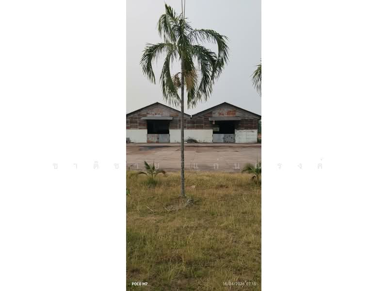 wherehouse Nonghan Udon for rent, Udon Thani, Phak Top, Nong Han, Udon Thani, , 1,750 sqm, Warehouse/Factory For Rent, by Chartchai Kaennarong, 500257730 - DDproperty.com