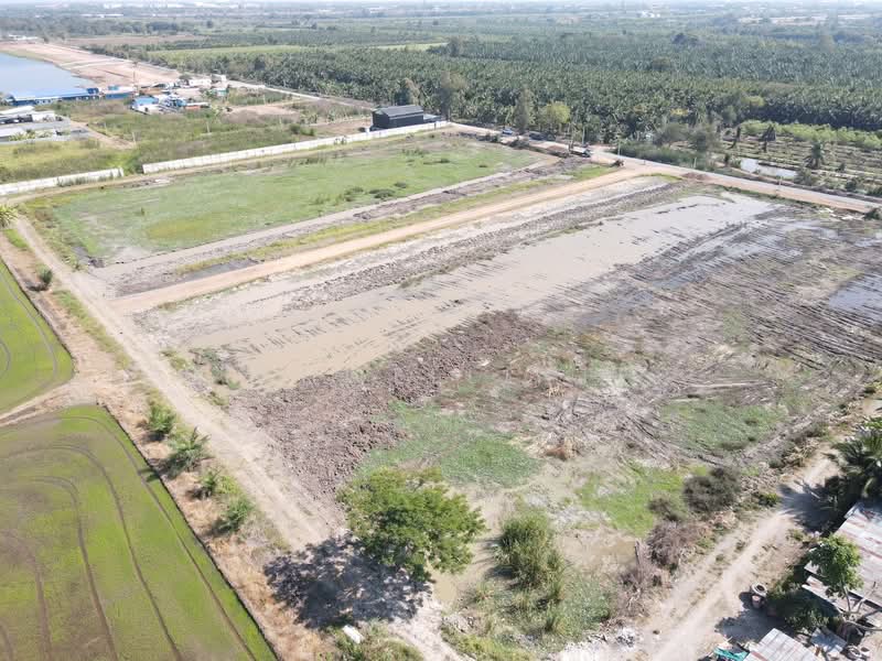 Beautiful land for sale in a prime location on Soi Phanarat, starting from 2 rai, Khlong 9,, Pathum Thani, Bung Ba, Nong Sua, Pathum Thani, , 3,200 sqm, Land For Sale, by richwellinter, 500257742 - DDproperty.com
