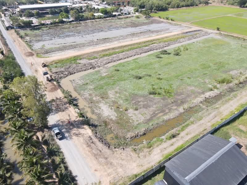 Beautiful land for sale in a prime location on Soi Phanarat, starting from 2 rai, Khlong 9,, Pathum Thani, Bung Ba, Nong Sua, Pathum Thani, , 3,200 sqm, Land For Sale, by richwellinter, 500257742 - DDproperty.com