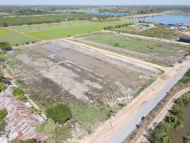 Beautiful land for sale in a prime location on Soi Phanarat, starting from 2 rai, Khlong 9,, Pathum Thani, Bung Ba, Nong Sua, Pathum Thani, , 3,200 sqm, Land For Sale, by richwellinter, 500257742 - DDproperty.com
