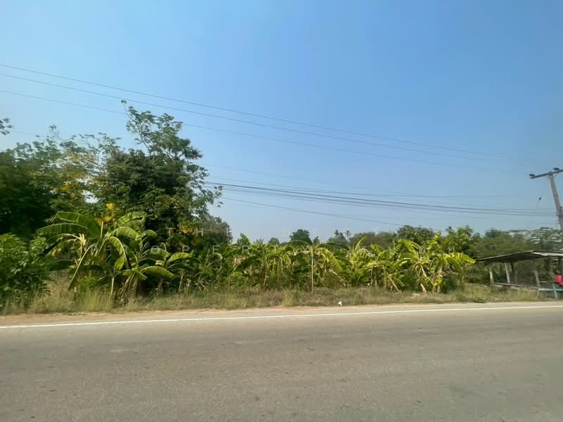 ขาย - ที่ดินคลองขลุง กำแพงเพชร, กำแพงเพชร