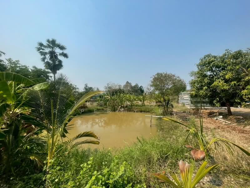 ที่ดินคลองขลุง กำแพงเพชร, Kamphaeng Phet, Mae Lat, Khlong Khlung, Kamphaeng Phet, , 2,980 sqm, Land For Sale, by The Best Property หน่อย, 500257751 - DDproperty.com