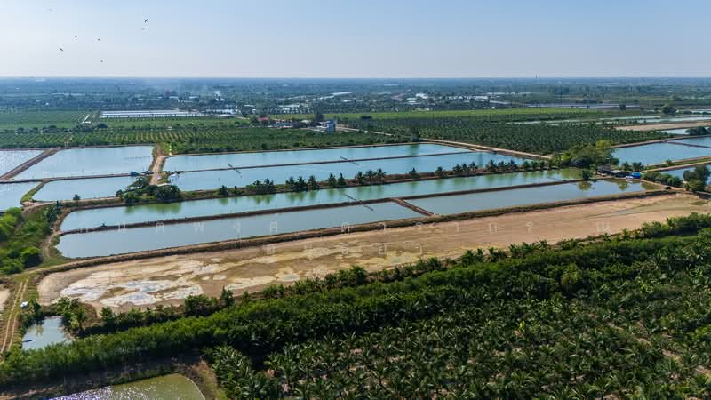 Nakhon Pathom, Nakhon Pathom, Nakhonpathom, Muang Nakhon Pathom, Nakhon Pathom, , 25,892 sqm, Land For Sale, by Kantapong Darakorn Na Ayudhya, 500257848 - DDproperty.com