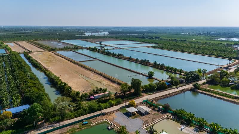 Nakhon Pathom, Nakhon Pathom, Nakhonpathom, Muang Nakhon Pathom, Nakhon Pathom, , 25,892 sqm, Land For Sale, by Kantapong Darakorn Na Ayudhya, 500257848 - DDproperty.com