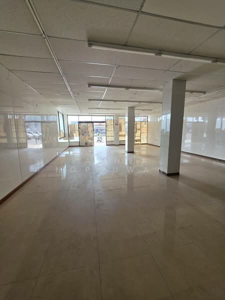 ให้เช่า - ให้เช่า อาคารพาณิชย์ 2 ชั้น 2 คูหาขนาด 50 ตารางวา เยื้องโรงงานเซฟสกิน เหมาะทำ มินิมาร์ท ร้านขายยา, สงขลา