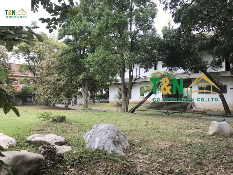 ที่ดินเปล่า วิภาวดี 41 (ดอนเมือง), Bangkok, Sanam Bin, Don Mueang, Bangkok, , 8,040 sqm, Land For Sale, by MANANYA PHATHONG, 500257961 - DDproperty.com