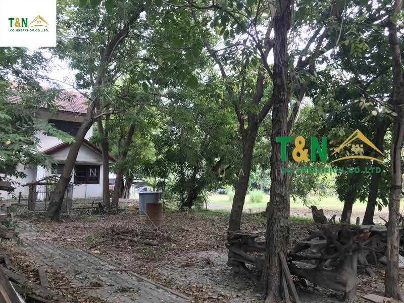 ที่ดินเปล่า วิภาวดี 41 (ดอนเมือง), กรุงเทพ, สนามบิน, ดอนเมือง, กรุงเทพ, 8,040 ตร.ม., ที่ดิน ขาย, โดย MANANYA PHATHONG, 500257961 - DDproperty.com