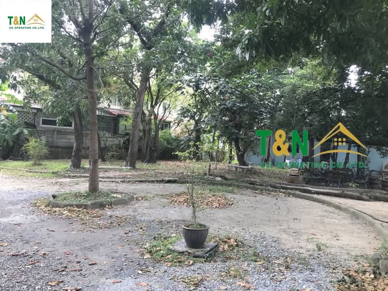 ที่ดินเปล่า วิภาวดี 41 (ดอนเมือง), Bangkok, Sanam Bin, Don Mueang, Bangkok, , 8,040 sqm, Land For Sale, by MANANYA PHATHONG, 500257961 - DDproperty.com