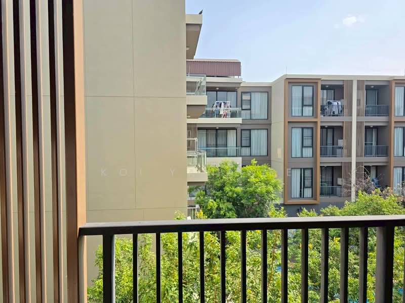 The 8 Condominium, Chiang Mai, 9 Taewan Road, Chang Phuak, Muang Chiang Mai, Chiang Mai, 1 Bedroom, 37 sqm, Condo For Rent, by Koi Yanawee, 500258229 - DDproperty.com