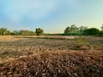 ที่ดินปากพลี นครนายก, นครนายก