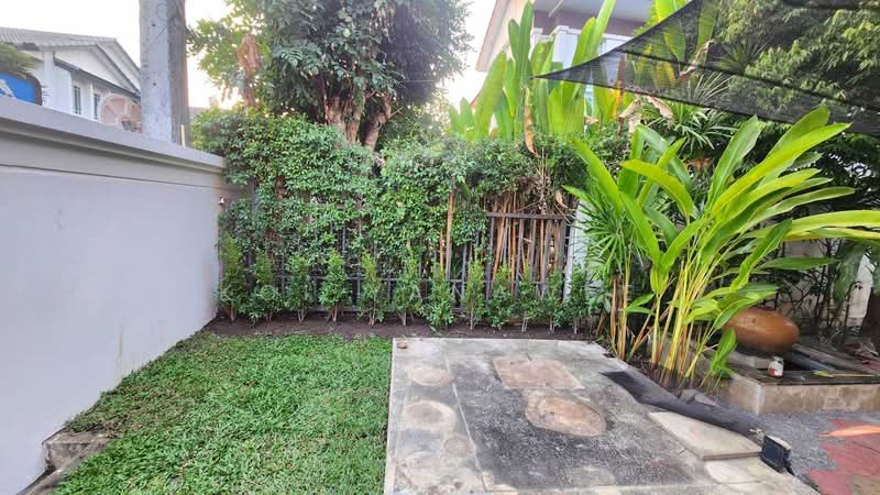 Siwalee Choeng Doi, Chiang Mai, Mae Hia, Muang Chiang Mai, Chiang Mai, 3 Bedrooms, 166 sqm, Single Detached House For Rent, by Koi Yanawee, 500258323 - DDproperty.com