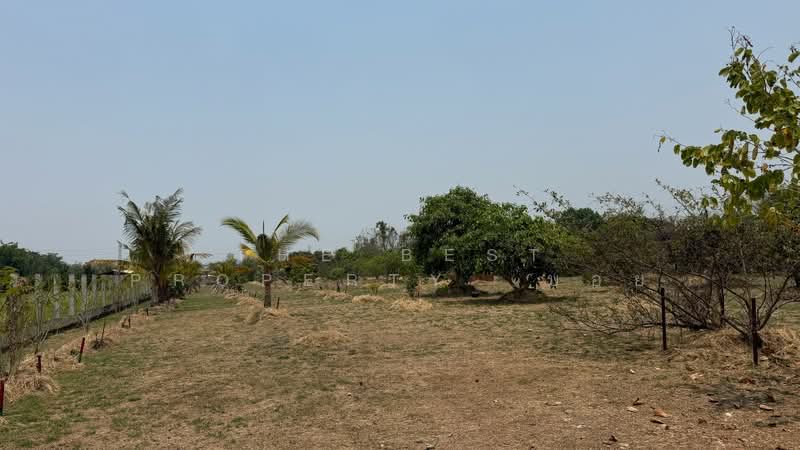 บ้านเดี่ยวพร้อมที่ดินสันกำแพง เชียงใหม่, Chiang Mai, San Ton Pao, San Kamphaeng, Chiang Mai, 3 Bedrooms, 1,620 sqm, Single Detached House For Sale, by The Best Property  บอย, 500258367 - DDproperty.com