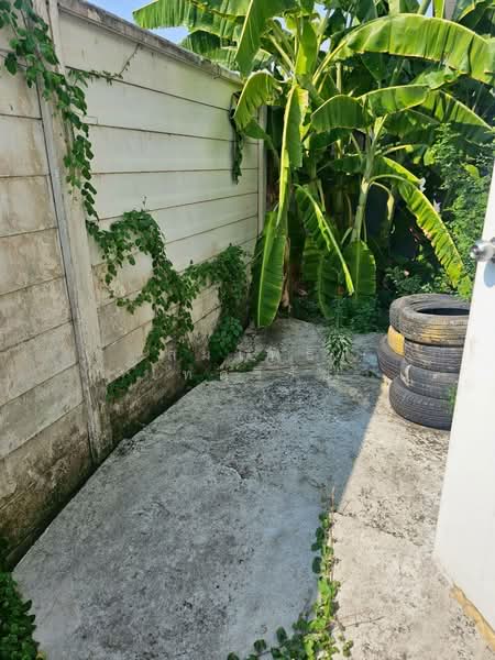 Delight Rattanathibet – Tha It, Nonthaburi, Soi Wat Tha It, Tha It, Pak Kret, Nonthaburi, 3 Bedrooms, 180 sqm, Single Detached House For Sale, by สมโพธิ เทศวิรัช, 500258469 - DDproperty.com