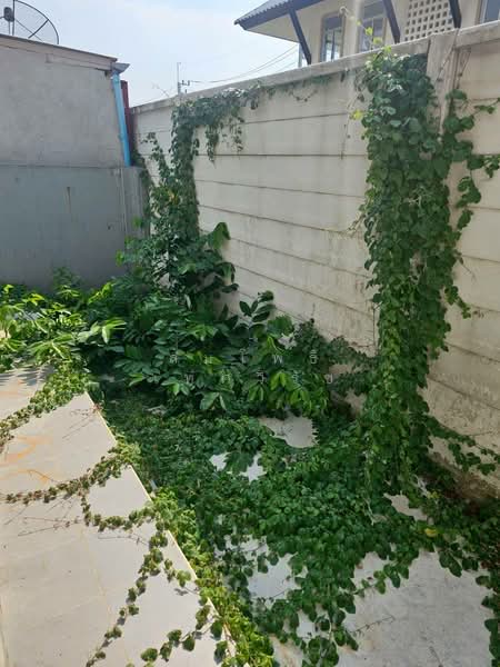 Delight Rattanathibet – Tha It, Nonthaburi, Soi Wat Tha It, Tha It, Pak Kret, Nonthaburi, 3 Bedrooms, 180 sqm, Single Detached House For Sale, by สมโพธิ เทศวิรัช, 500258469 - DDproperty.com