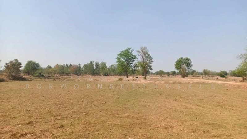 For Sale - ต.หันห้วยทราย อ.ประทาย จ.นครราชสีมา, Nakhon Ratchasima