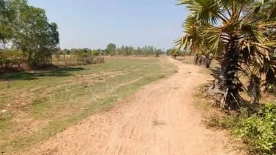 ขาย - ต.หันห้วยทราย อ.ประทาย จ.นครราชสีมา, นครราชสีมา