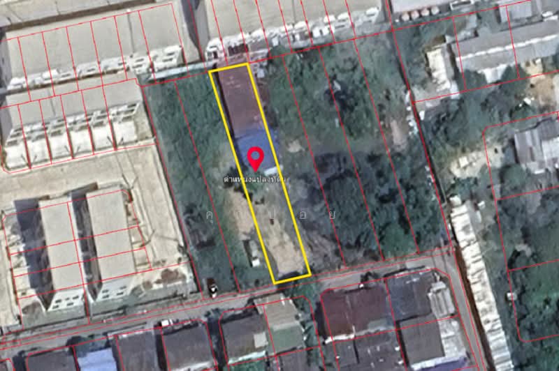 ซอยอ่อนนุช 46, Bangkok, Suan Luang, Suan Luang, Bangkok, , 420 sqm, Land For Sale, by คุณปอย, 500258666 - DDproperty.com