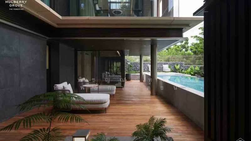 Mulberry Grove The Forestias Villas : มัลเบอร์รี่ โกรฟ เดอะ ฟอเรสเทียส์ วิลล่า, สมุทรปราการ, ลุมพินีเมกะบางนา, บางแก้ว, บางพลี, สมุทรปราการ, 1,203 ตร.ม., วิลล่า ขาย, โดย พิชญ์ณภัทร ทรัพย์กานต์ธนา, 500258687 - DDproperty.com