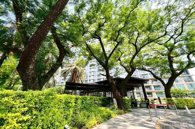 The Line Phahonyothin Park : เดอะ ไลน์ พหลโยธิน พาร์ค, กรุงเทพ, 1090 ถนนพหลโยธิน, จอมพล, จตุจักร, กรุงเทพ, 43 ตร.ม., คอนโด ขาย, โดย คุณจ๋า, 500258691 - DDproperty.com