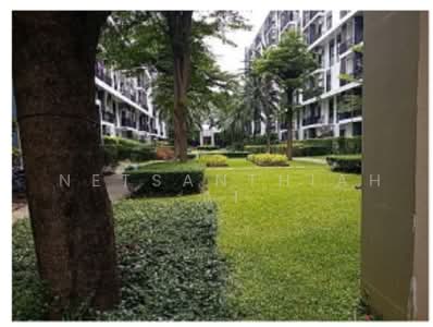 ขาย - iCondo Sukhumvit 105 : ไอคอนโด สุขุมวิท 105, กรุงเทพ