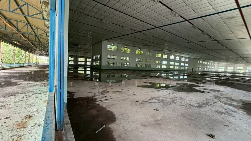 ขาย/เช่าที่ดิน พื้นที่+อาคาร 308 ไร่ ทำเลดี ใกล้นิคมอุตสาหกรรม ศรีมหาโพธิ ปราจีนบุรี (TL07-0126), ปราจีนบุรี, หนองโพรง, ศรีมหาโพธิ, ปราจีนบุรี, 492,800 ตร.ม., ที่ดิน ขาย, โดย ณภัทร พรสิริเมธากุล, 500258698 - DDproperty.com