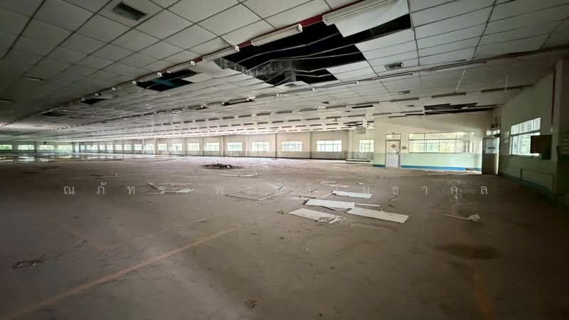 ขาย/เช่าที่ดิน พื้นที่+อาคาร 308 ไร่ ทำเลดี ใกล้นิคมอุตสาหกรรม ศรีมหาโพธิ ปราจีนบุรี (TL07-0126), Prachin Buri, Nong Phrong, Sri Maha Pho, Prachin Buri, , 492,800 sqm, Land For Sale, by ณภัทร พรสิริเมธากุล, 500258698 - DDproperty.com